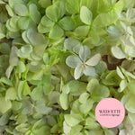 FlutterFly® Petal Confetti - Light Green Gradient
