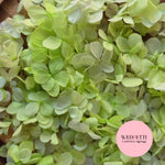 FlutterFly® Petal Confetti - Light Green Gradient