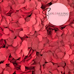 Slow falling paper Confetti - China Red