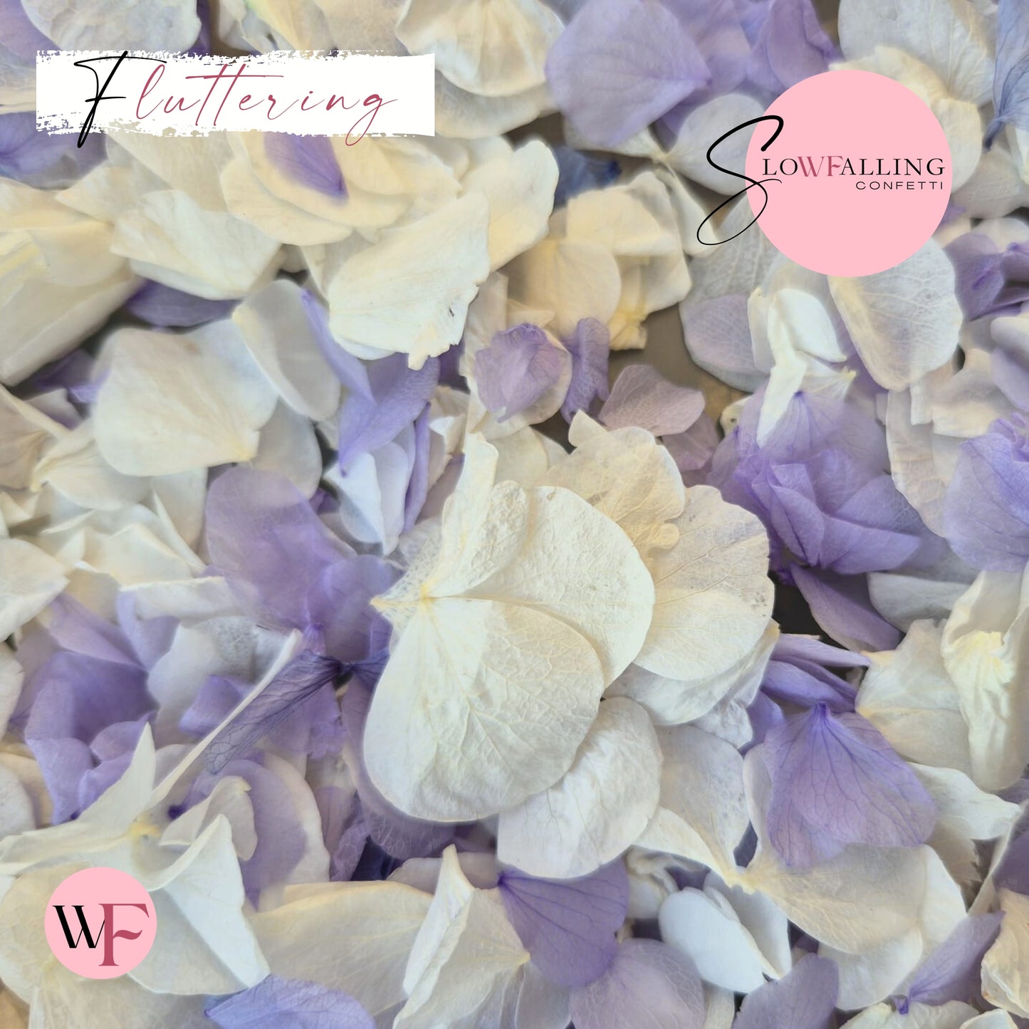 Petal Confetti hydrangea - Soft Purple White