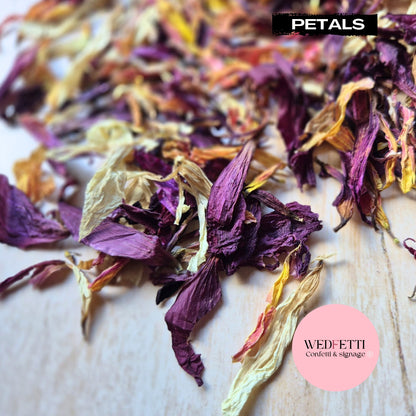 Purple Sangria Petal Confetti