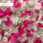 Petal Confetti hydrangea - White Fuschia