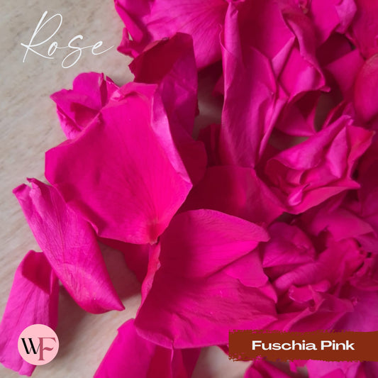 Rose Petals - Fuschia Pink