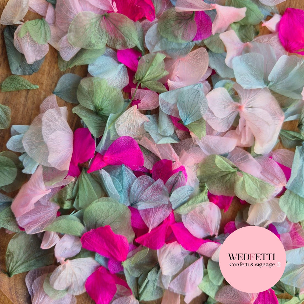 Petal Confetti hydrangea - Sage Pink Hydrangea mix Fuschia