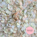 Slow falling paper Confetti - Lightest Sage Blush Ivory White