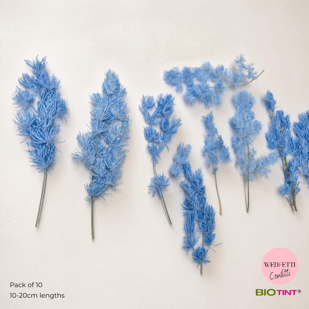 Dried & Preserved Pine Leaves on Stems