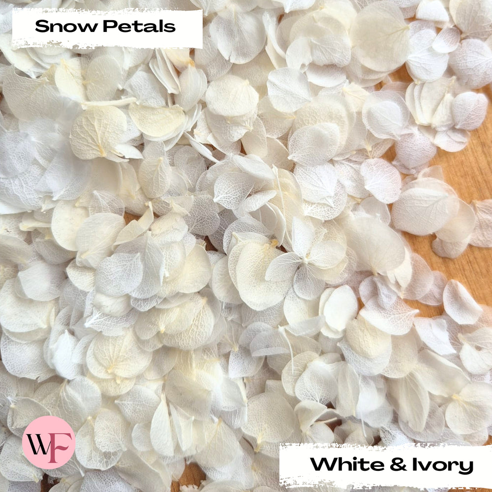 Snow Petal Confetti® - Snow Petals - White & Ivory