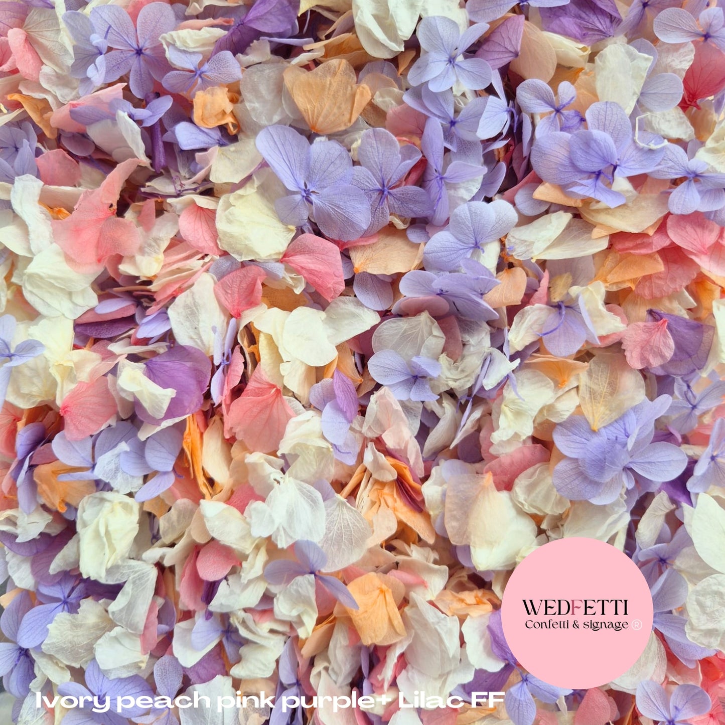 Petal Confetti hydrangea - Ivory Peach Pink Purple+ Lilac FF