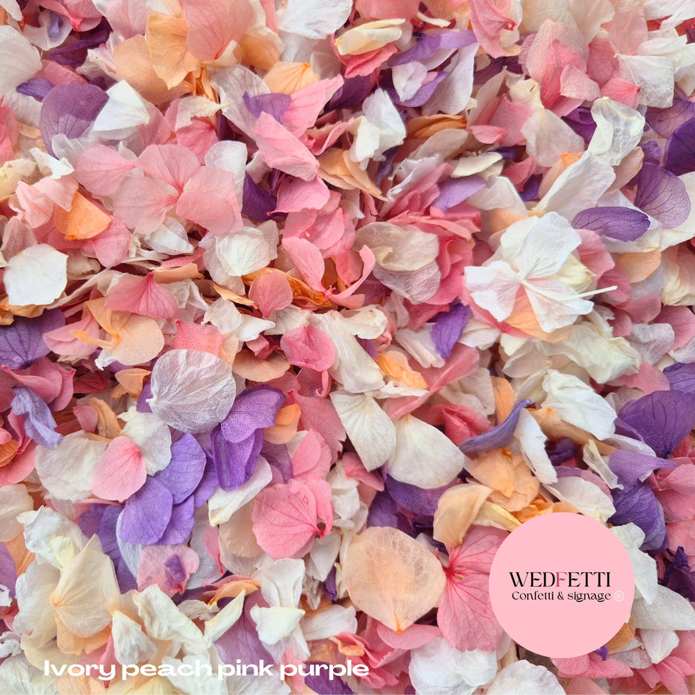 Petal Confetti hydrangea - Ivory Peach Pink Purple
