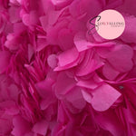 Biodegradable paper Confetti hearts - Fuschia