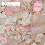 Petal Confetti hydrangea - Pink White