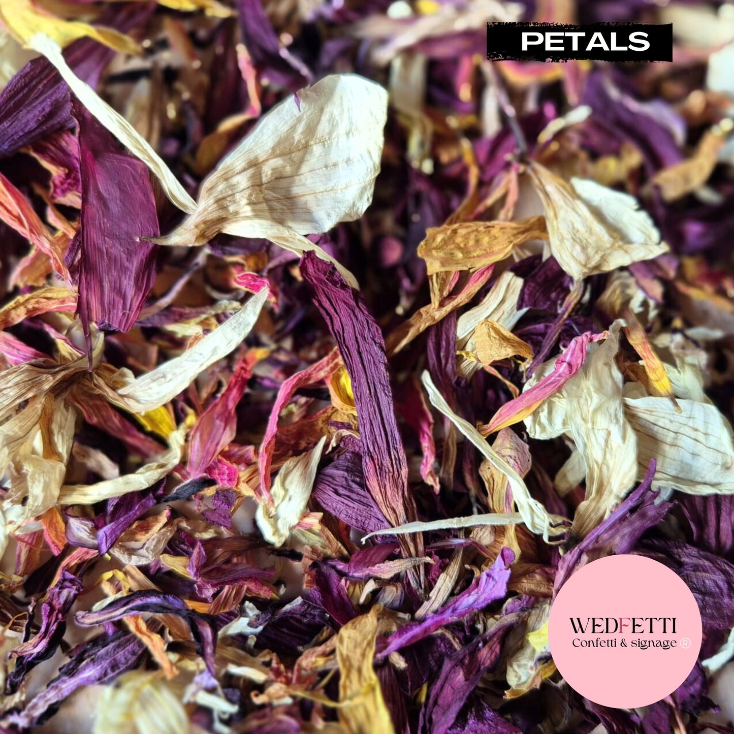 Purple Sangria Petal Confetti