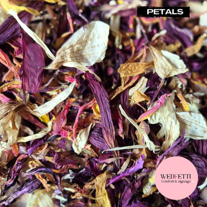 Purple Sangria Petal Confetti