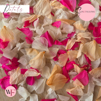 Petal Confetti hydrangea - White Fuschia Peach