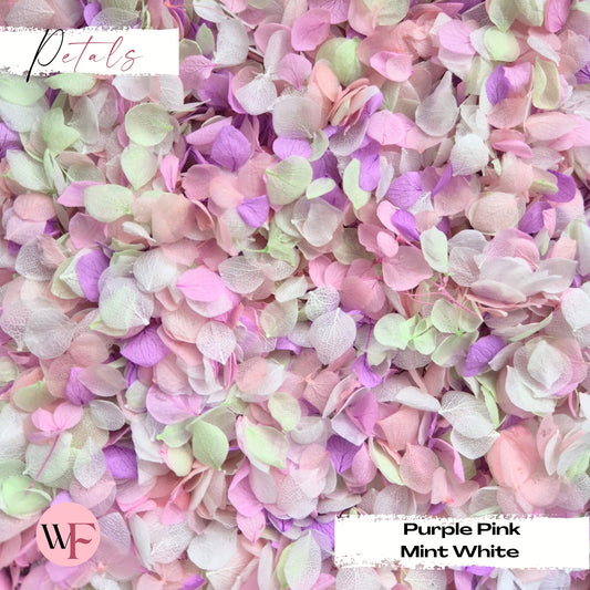 Snow Petal Confetti® - Purple Pink Mint White