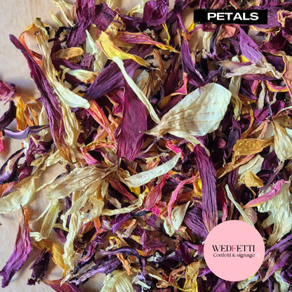 Purple Sangria Petal Confetti