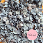 Dusty Blue hydrangea Snowpetals®