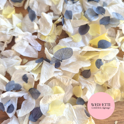 Petal Confetti hydrangea - Light Ivory Dusty Blue lemon