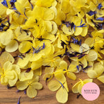 FlutterFly® Petal Confetti - Yellow + 2 Cornflower