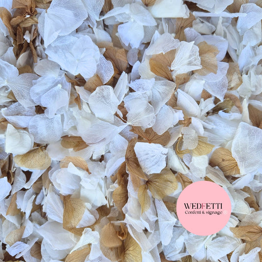 Petal Confetti hydrangea - White Chocolate