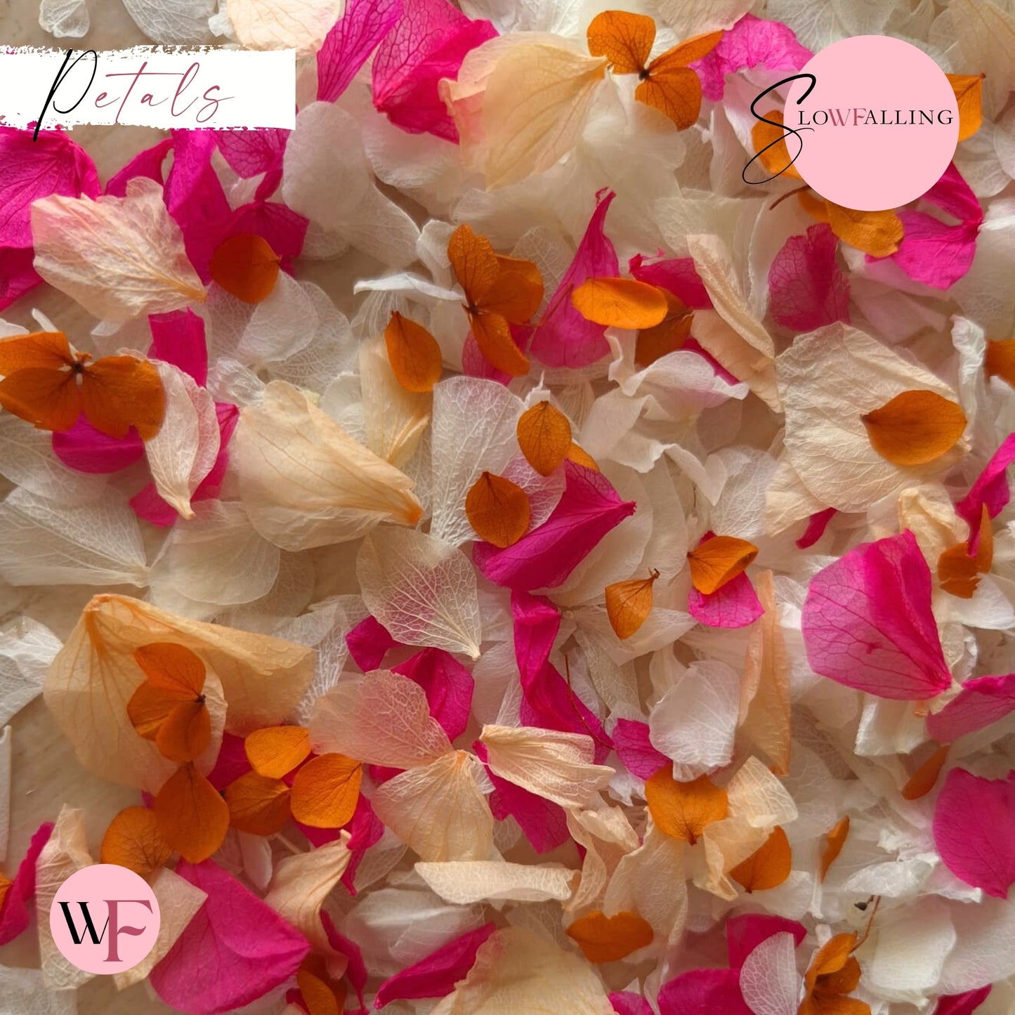 Petal Confetti hydrangea - Fruit Salad Peach