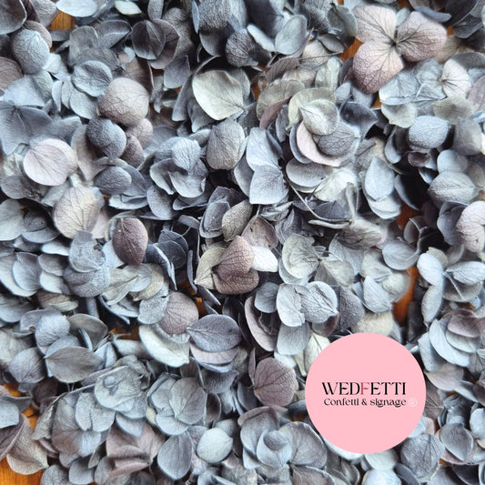 Dusty Blue hydrangea Snowpetals®