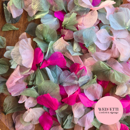 Petal Confetti hydrangea - Sage Pink Hydrangea mix Fuschia