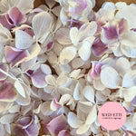 SLOW FALLING PETALS Freeze dried violet Gradient hydrangea + FlutterFly®