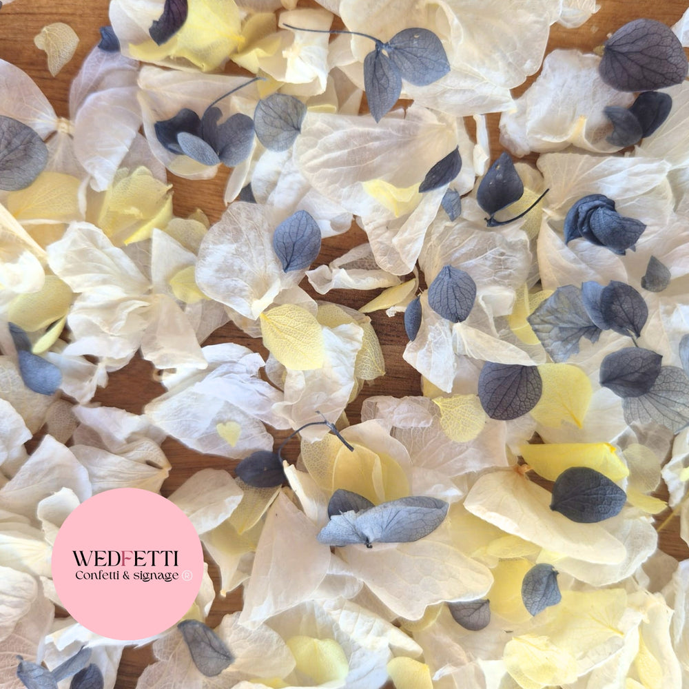 Petal Confetti hydrangea - Light Ivory Dusty Blue lemon