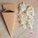 DIY closed Petal/Paper confetti cones (Large)