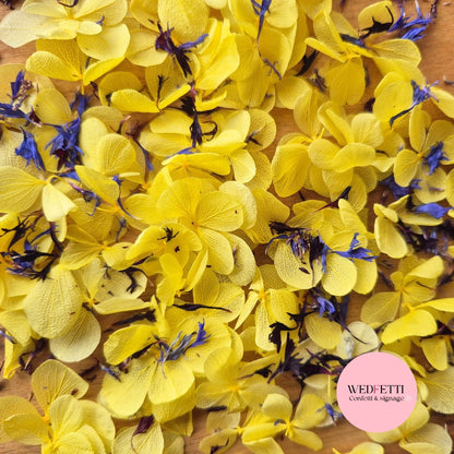 FlutterFly® Petal Confetti - Yellow + 2 Cornflower