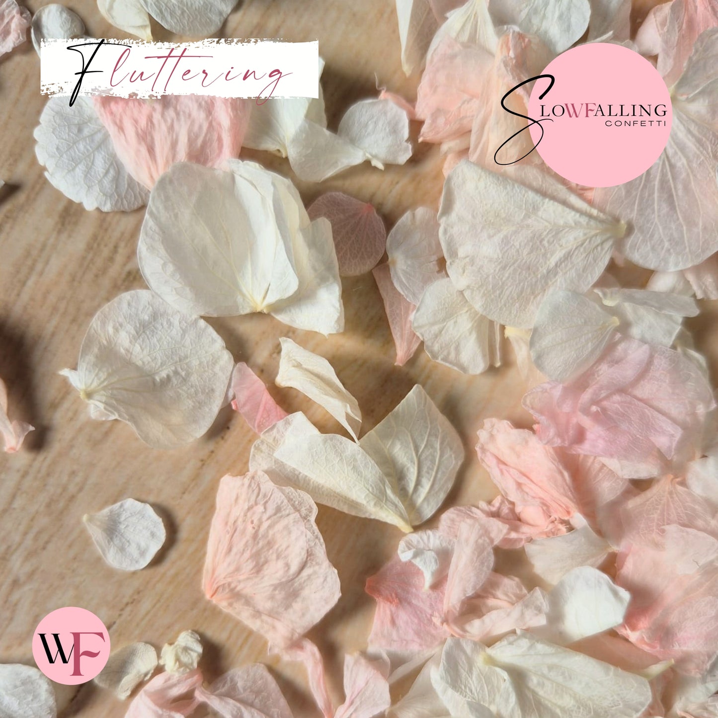 Petal Confetti hydrangea - Pink White