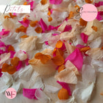 Petal Confetti hydrangea - Fruit Salad Peach