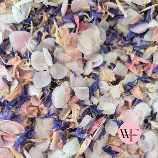 Natural Cornflower Delphinium & Snow Petal® mix - Blush