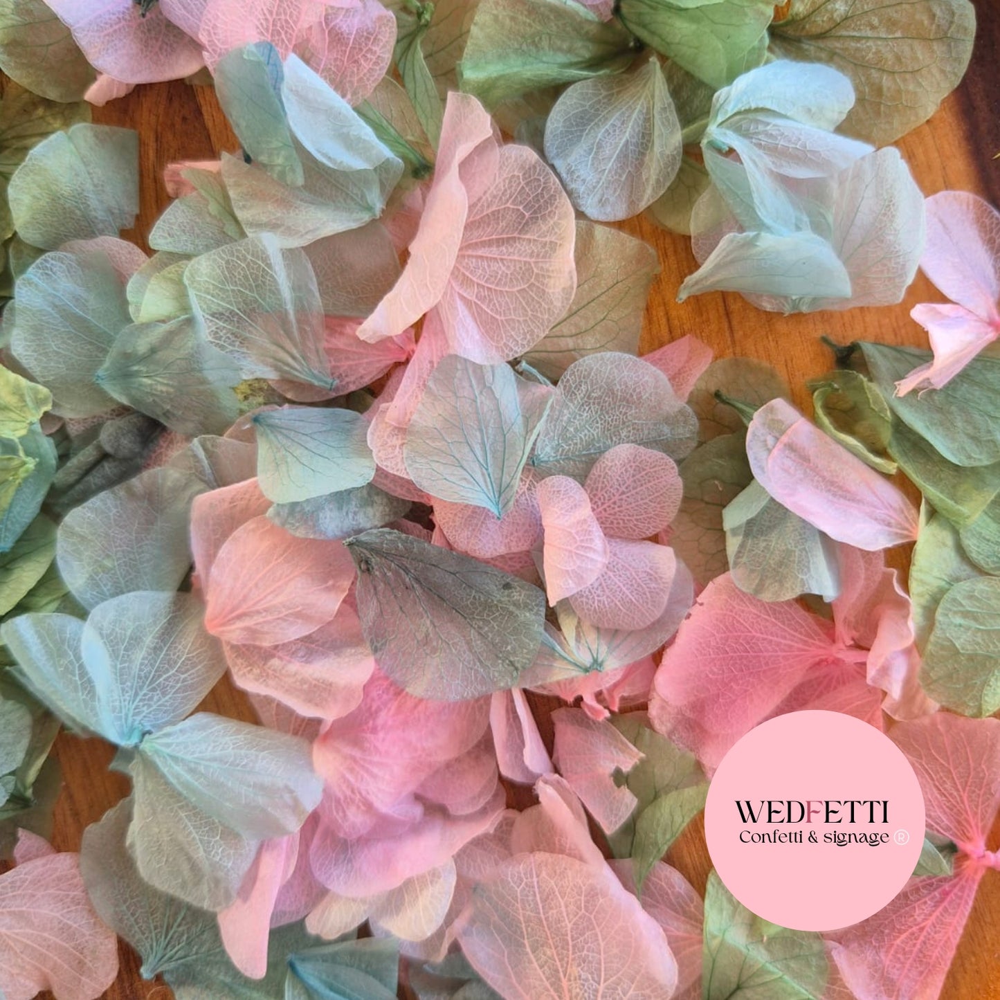 Petal Confetti hydrangea - Sage Pink Hydrangea mix