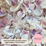 SLOW FALLING PETALS Freeze dried violet Gradient hydrangea + FlutterFly®