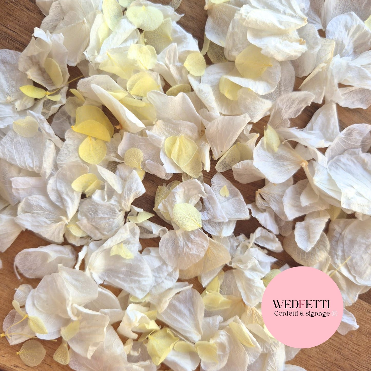 Petal Confetti hydrangea - Light Ivory lemon