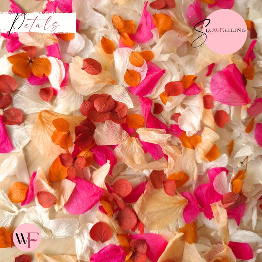Petal Confetti hydrangea - Fruit Salad Peach Red