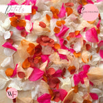 Petal Confetti hydrangea - Fruit Salad Peach Red