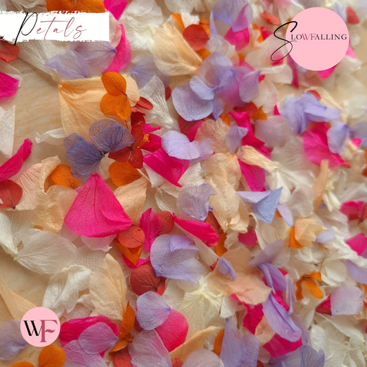 Petal Confetti hydrangea - Lavender Fruit Salad Peach
