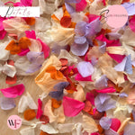 Petal Confetti hydrangea - Lavender Fruit Salad Peach