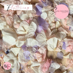 Petal Confetti hydrangea - Soft Purple Pink White