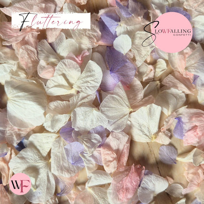 Petal Confetti hydrangea - Soft Purple Pink White