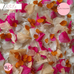 Petal Confetti hydrangea - Fruit Salad Peach