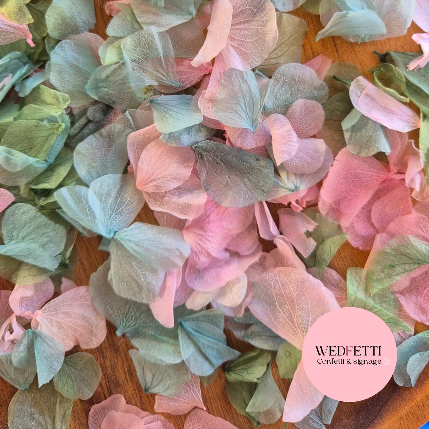 Petal Confetti hydrangea - Sage Pink Hydrangea