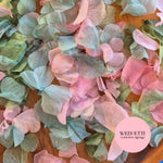 Petal Confetti hydrangea - Sage Pink Hydrangea