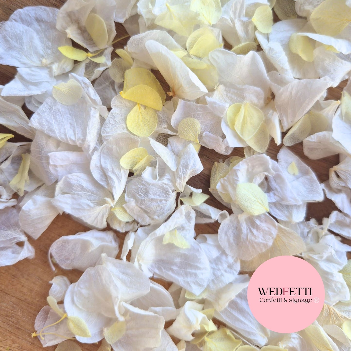 Petal Confetti hydrangea - Light Ivory lemon