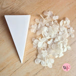 DIY closed Petal/Paper confetti cones (Large)
