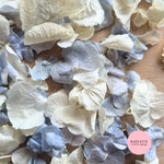SLOW FALLING PETALS Dusty blue Ivory White hydrangea petal premium mix