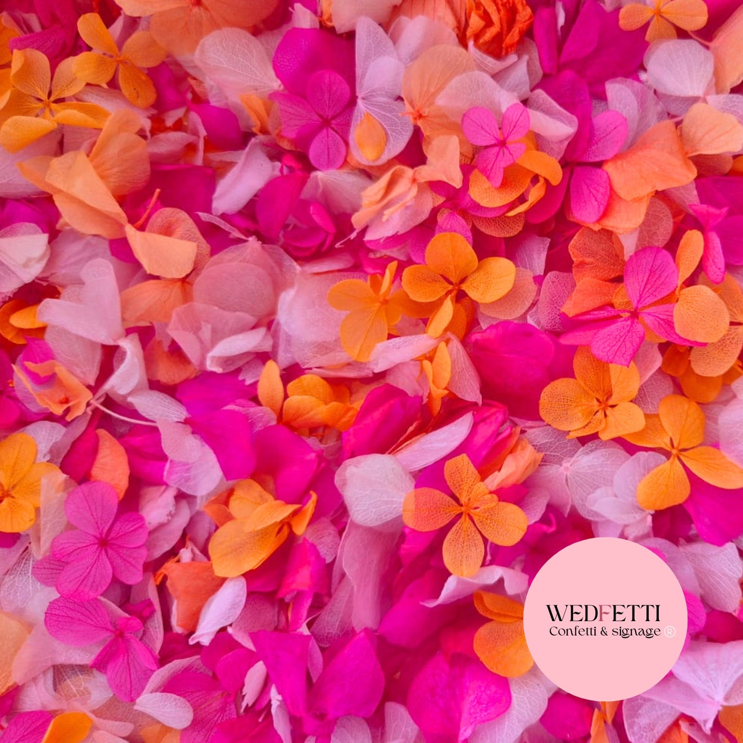 Petal Confetti hydrangea - Double Pink Orange + FlutterFly®